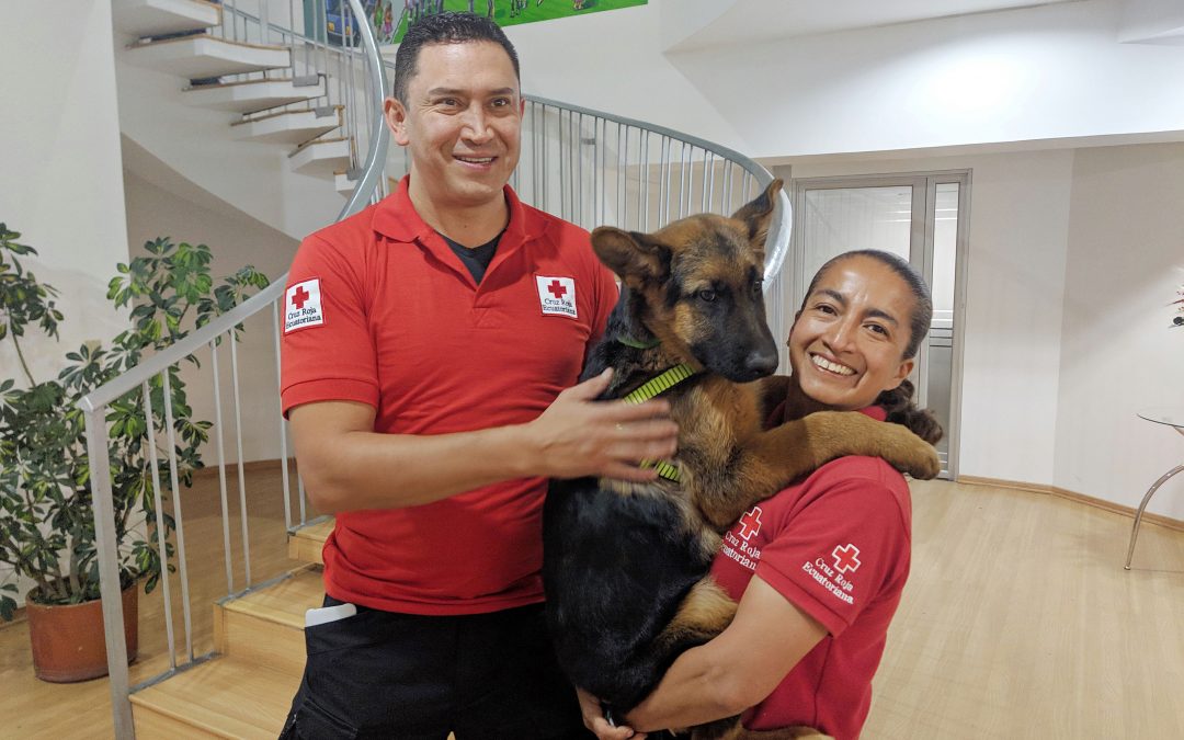 Adiestrar canes para salvar vidas